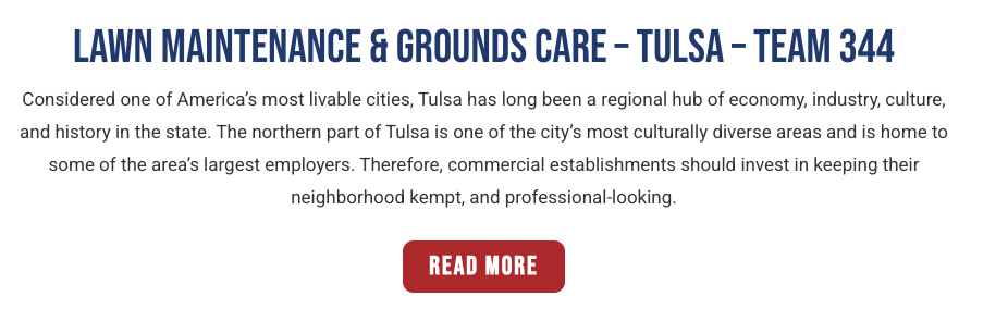 Example of a geo-targeted landing page for U.S. Lawns with location-specific language.