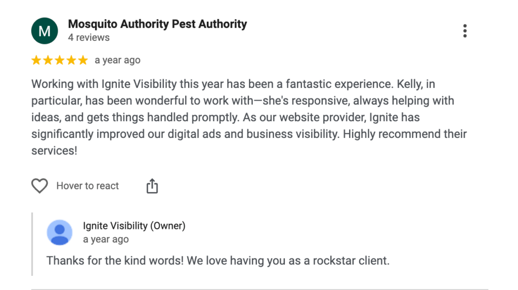 Example of an online review